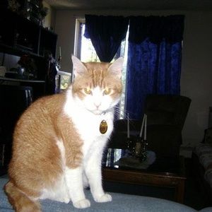 Meet your Posher, Kevin